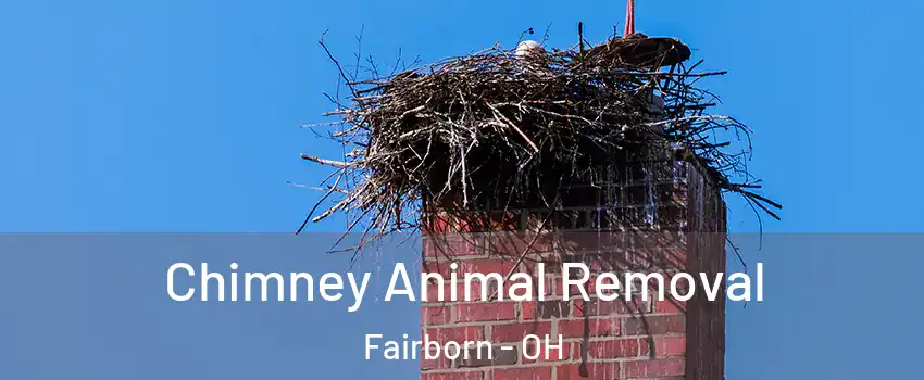 Chimney Animal Removal Fairborn - OH