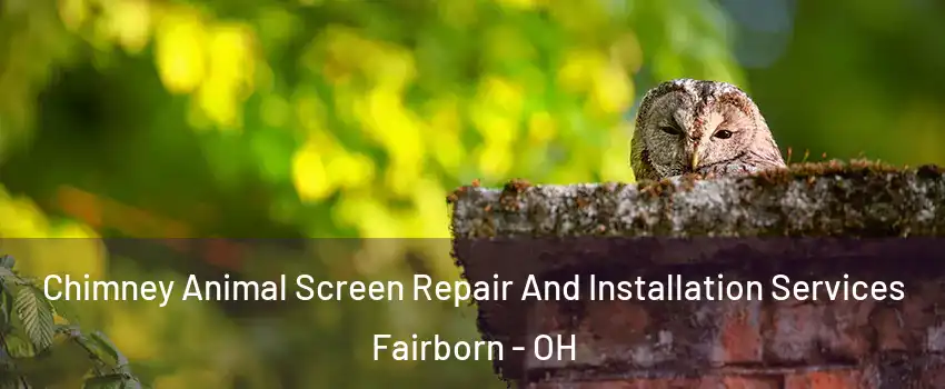  Chimney Animal Screen Repair And Installation Services Fairborn - OH