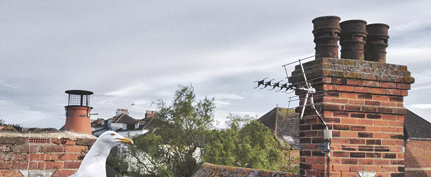 Chimney Cleaning And Restoration in Fairborn, Ohio