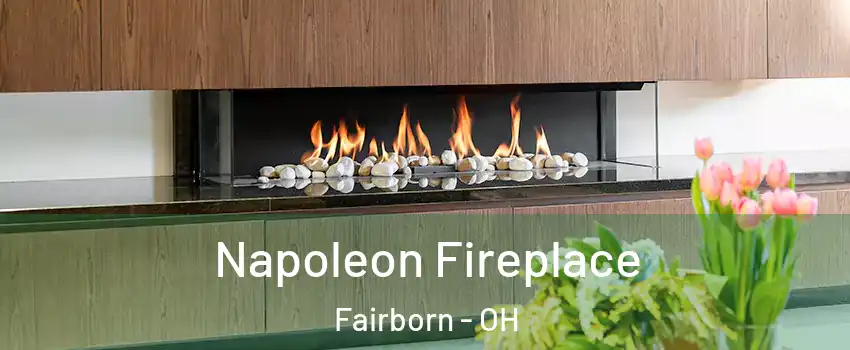  Napoleon Fireplace Fairborn - OH